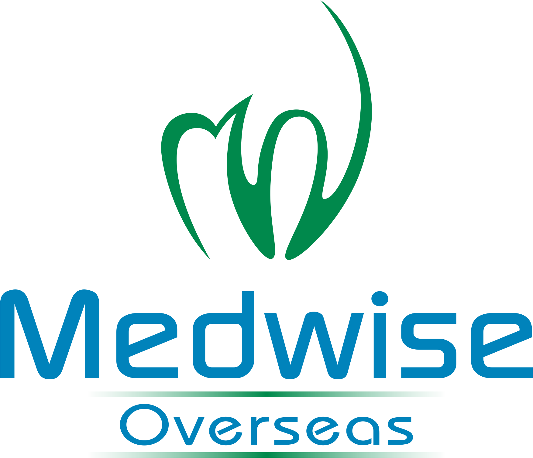 Medwise Overseas Pvt Ltd
