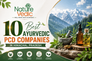 10 Best Ayurvedic PCD Companies In Himachal Pradesh